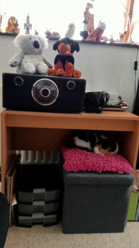 erna63 uploaded   1 year/s ago