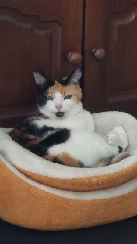 erna63 uploaded   1 year/s ago