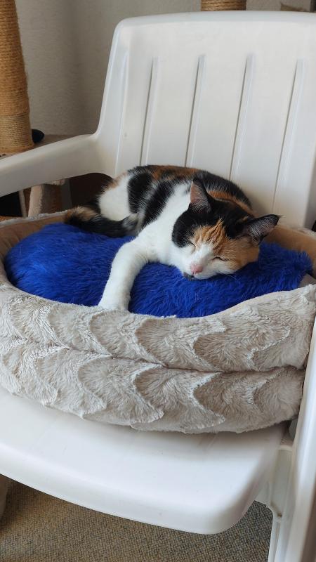 erna63 uploaded   1 year/s ago