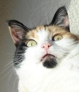 erna63 uploaded   1 year/s ago