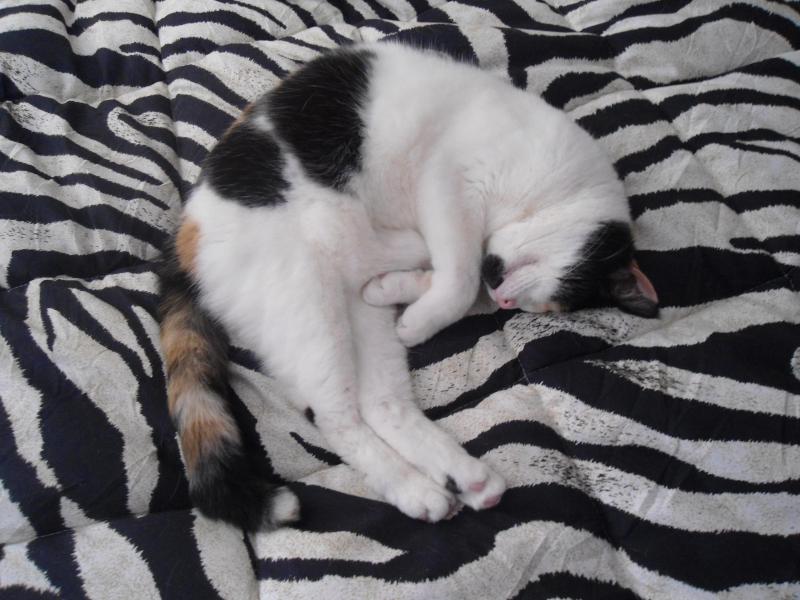 erna63 uploaded   1 year/s ago