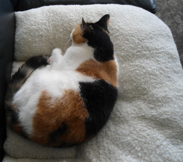 erna63 uploaded   1 year/s ago