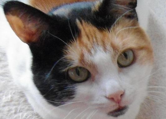 erna63 uploaded   1 year/s ago