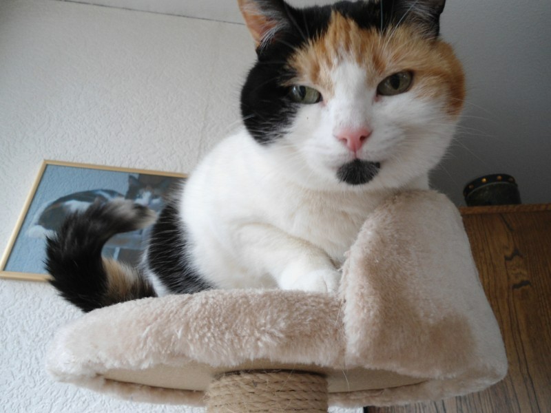 erna63 uploaded   1 year/s ago