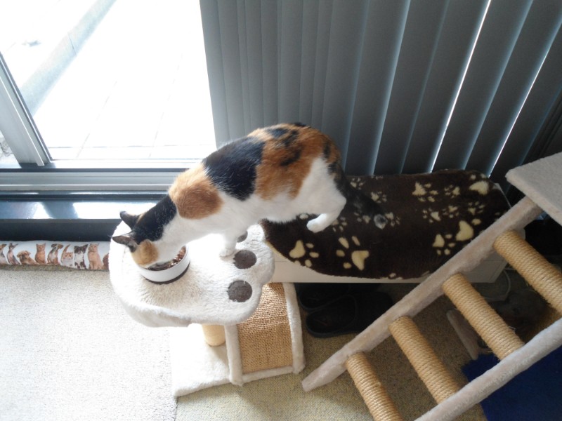 erna63 uploaded   1 year/s ago