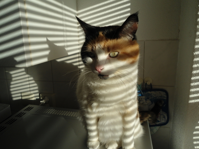 erna63 uploaded   1 year/s ago