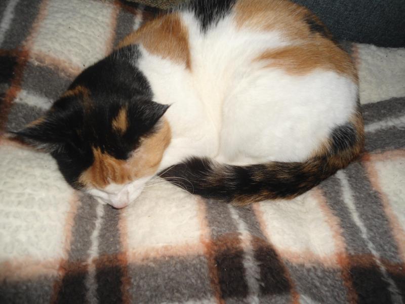 erna63 uploaded   1 year/s ago