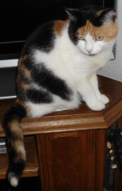 erna63 uploaded   1 year/s ago