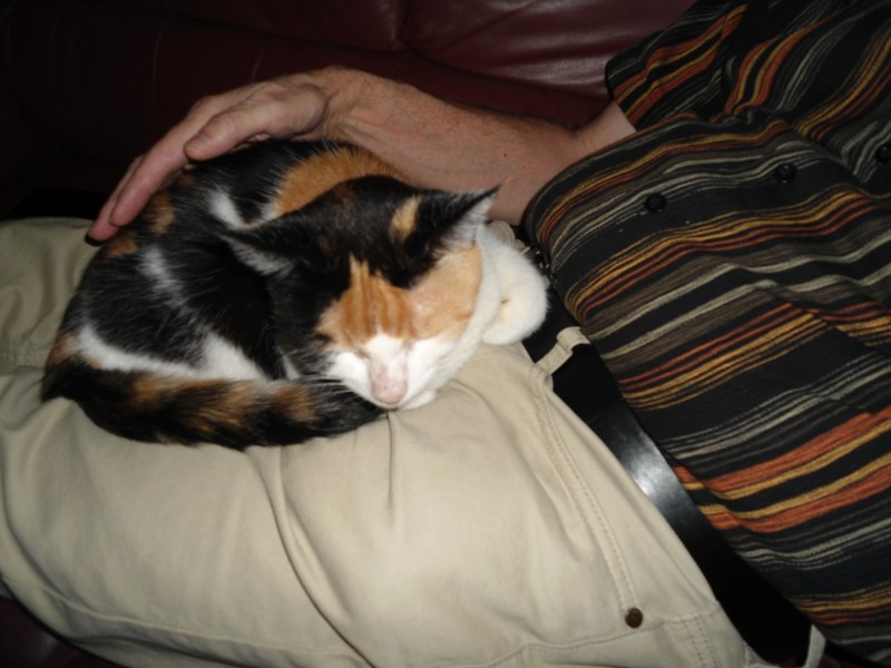 erna63 uploaded   1 year/s ago