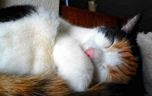 erna63 uploaded   1 year/s ago