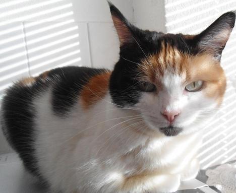 erna63 uploaded   1 year/s ago