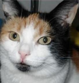 erna63 uploaded   1 year/s ago