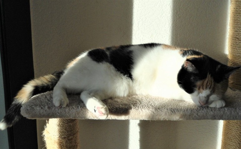 erna63 uploaded   1 year/s ago