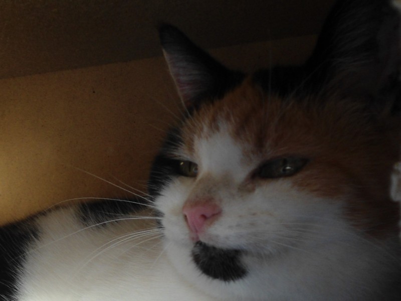 erna63 uploaded   1 year/s ago