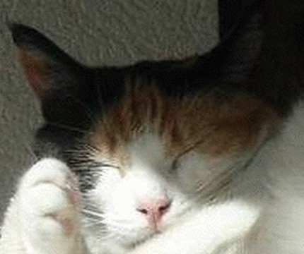 erna63 uploaded   1 year/s ago