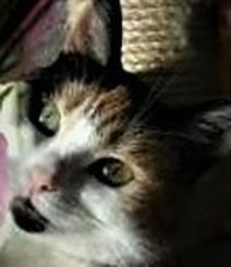 erna63 uploaded   1 year/s ago