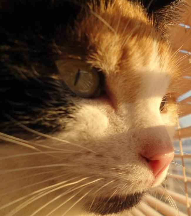 erna63 uploaded   1 year/s ago