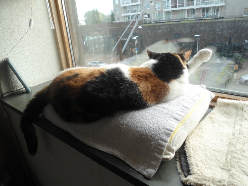 erna63 uploaded   1 year/s ago