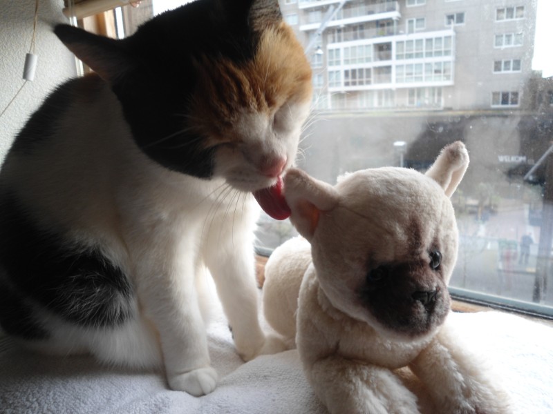 erna63 uploaded   1 year/s ago