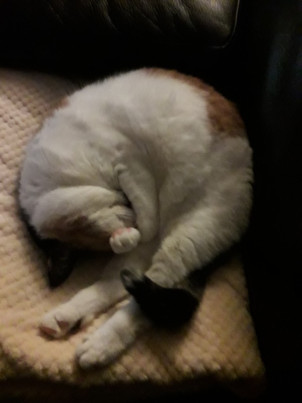 erna63 uploaded   1 year/s ago