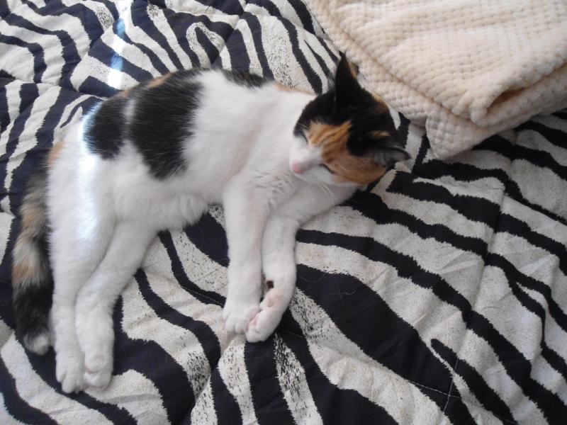 erna63 uploaded   1 year/s ago