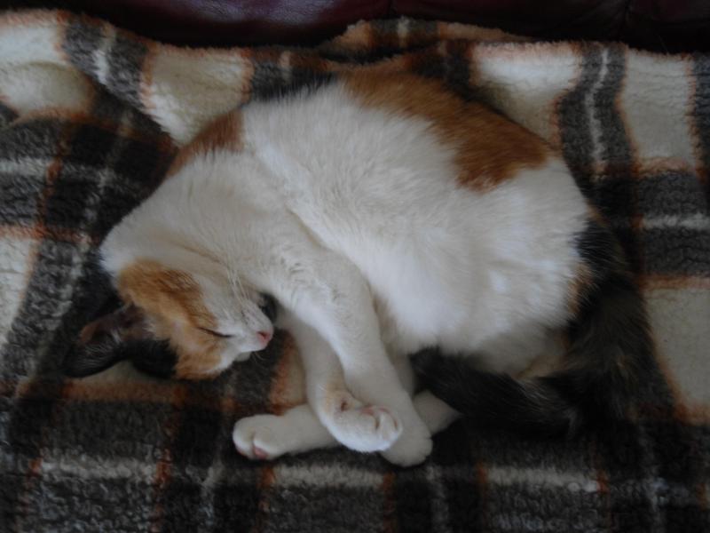 erna63 uploaded   1 year/s ago