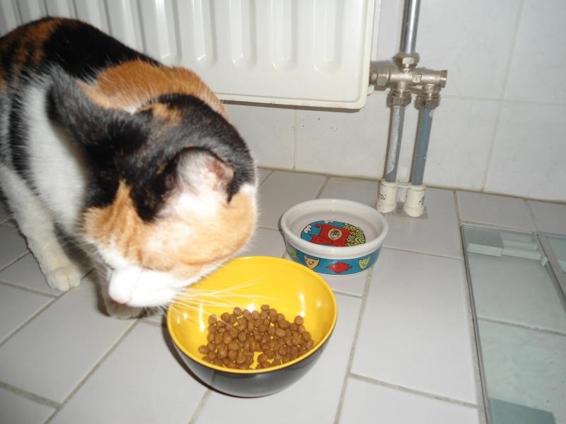 erna63 uploaded   1 year/s ago