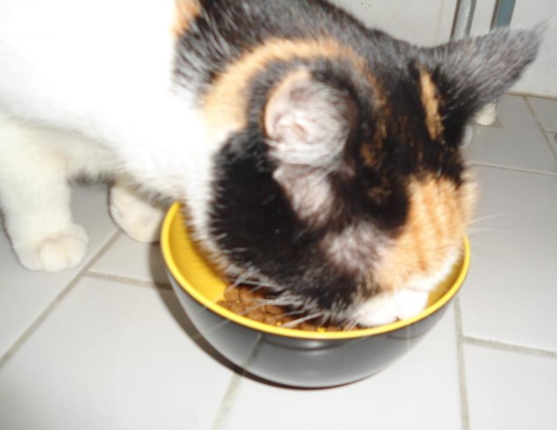 erna63 uploaded   1 year/s ago