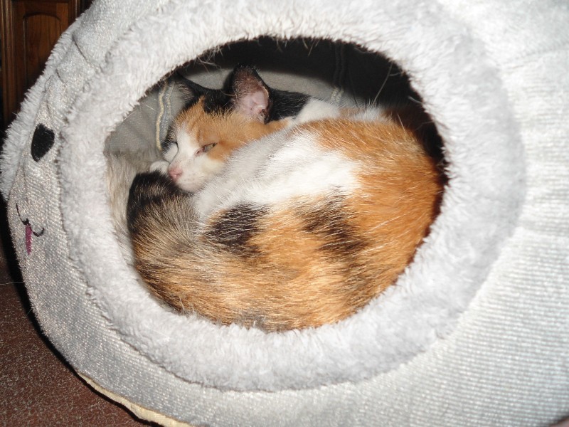 erna63 uploaded   1 year/s ago