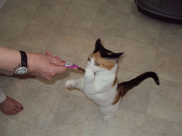 erna63 uploaded   1 year/s ago