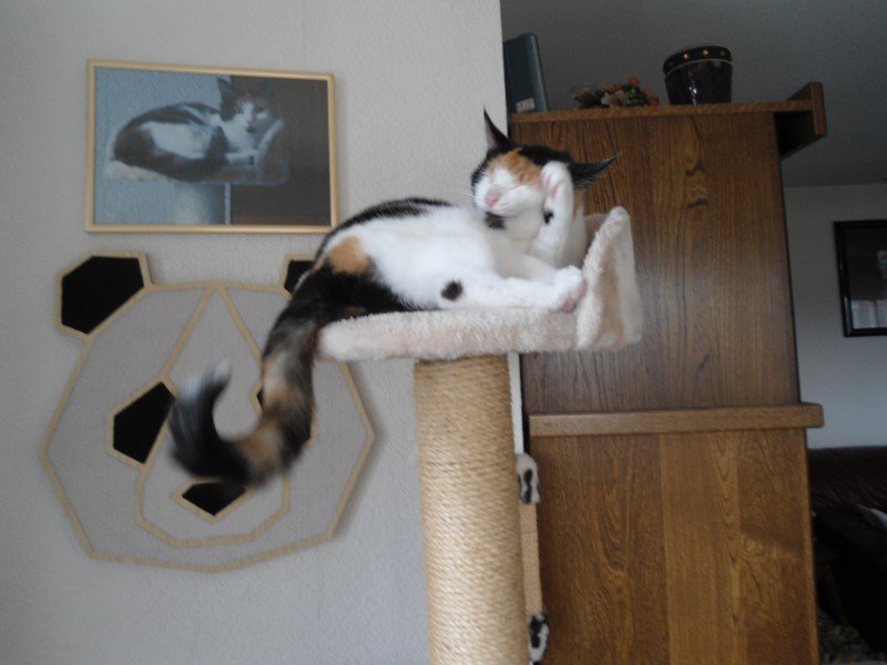 erna63 uploaded   1 year/s ago