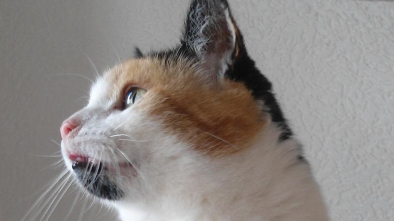 erna63 uploaded   1 year/s ago