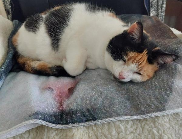 erna63 uploaded   1 year/s ago