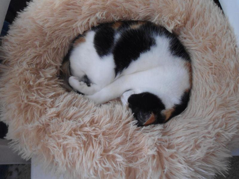 erna63 uploaded   1 year/s ago