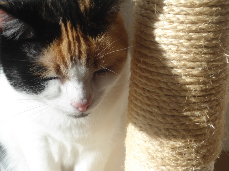 erna63 uploaded   1 year/s ago