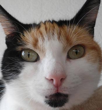 erna63 uploaded   1 year/s ago