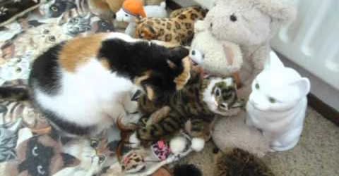 erna63 uploaded   1 year/s ago