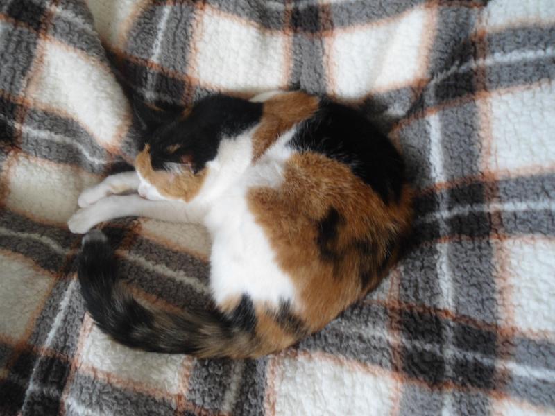 erna63 uploaded   1 year/s ago