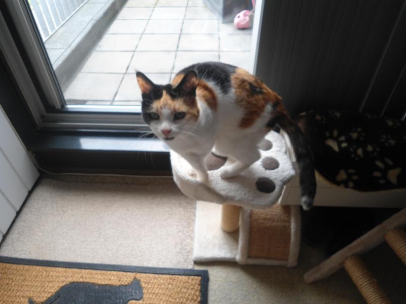 erna63 uploaded   1 year/s ago