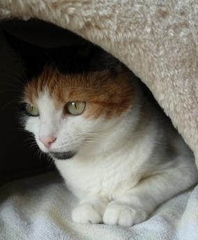 erna63 uploaded   1 year/s ago