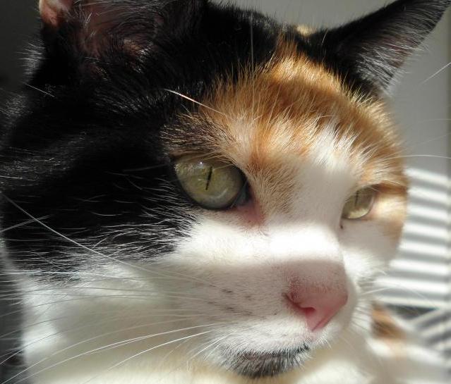 erna63 uploaded   1 year/s ago