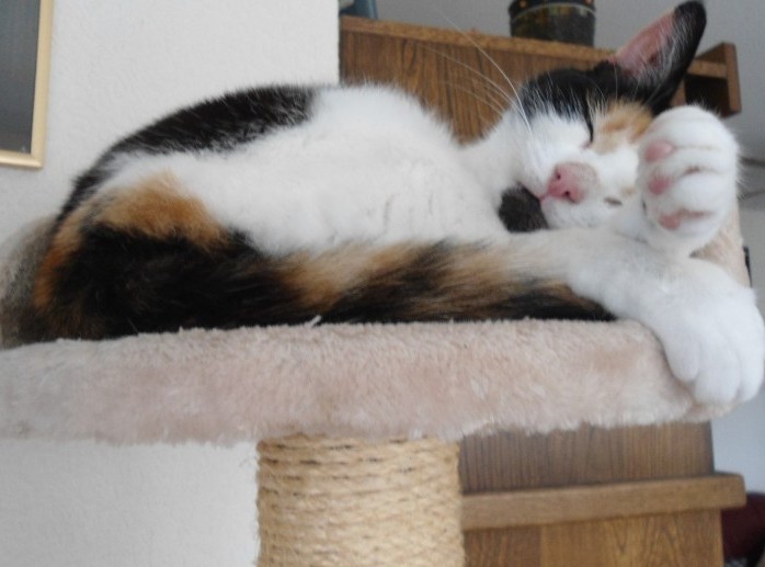 erna63 uploaded   1 year/s ago