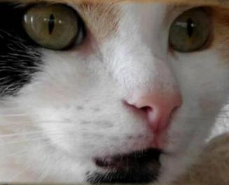 erna63 uploaded   1 year/s ago