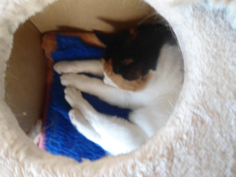 erna63 uploaded   1 year/s ago