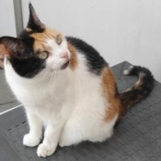 erna63 uploaded   1 year/s ago