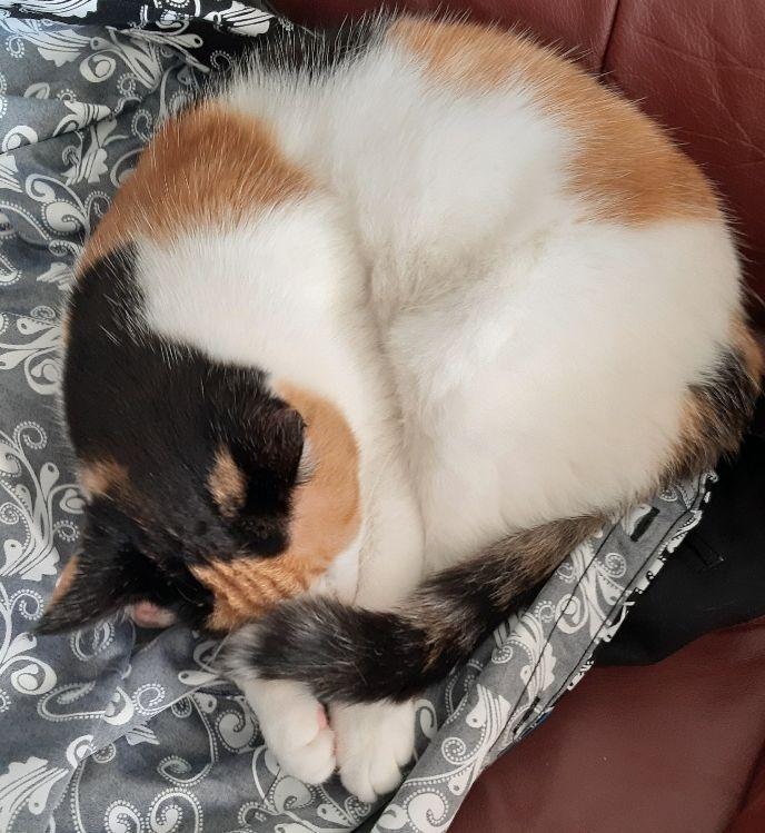 erna63 uploaded   1 year/s ago