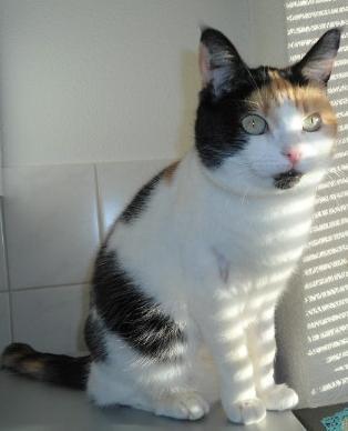 erna63 uploaded   1 year/s ago