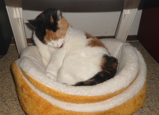 erna63 uploaded   1 year/s ago