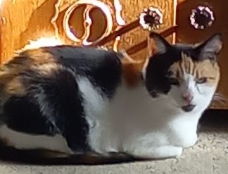 erna63 uploaded   1 year/s ago