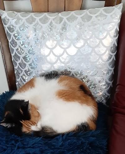 erna63 uploaded   1 year/s ago